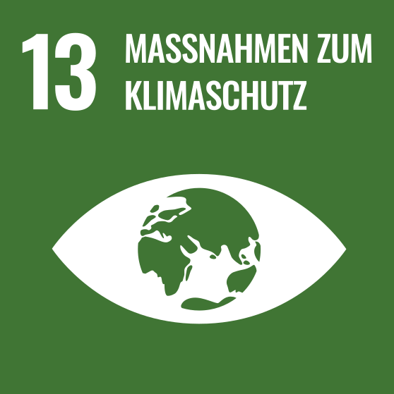 Grafik mit einem Globus in einem Auge, dazu der Text "13 Massnahmen zum Klimaschutz"