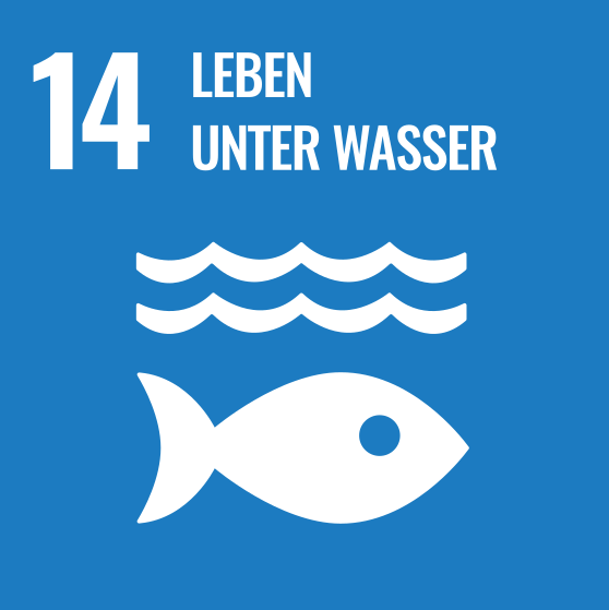 Grafik mit einem Fisch und Wasserlinien, dazu der Text "14 Leben unter Wasser"