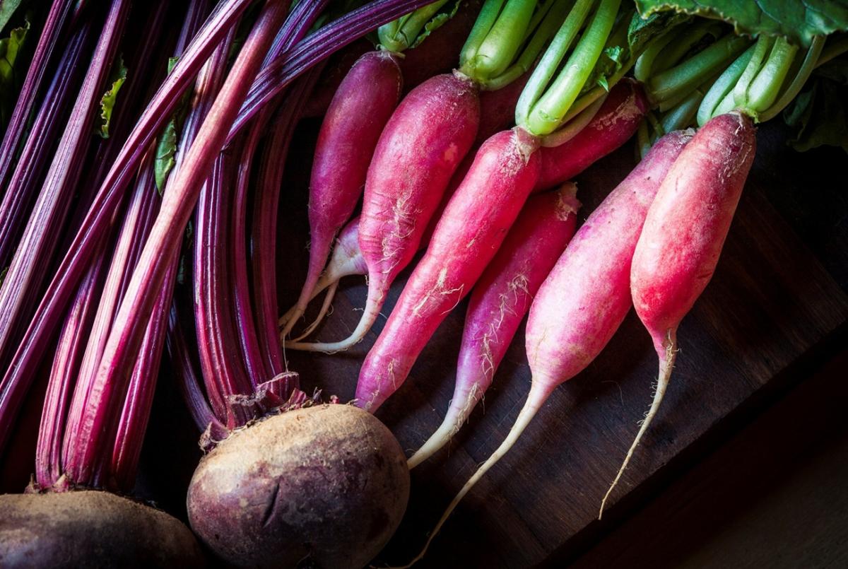 rote bete knollen