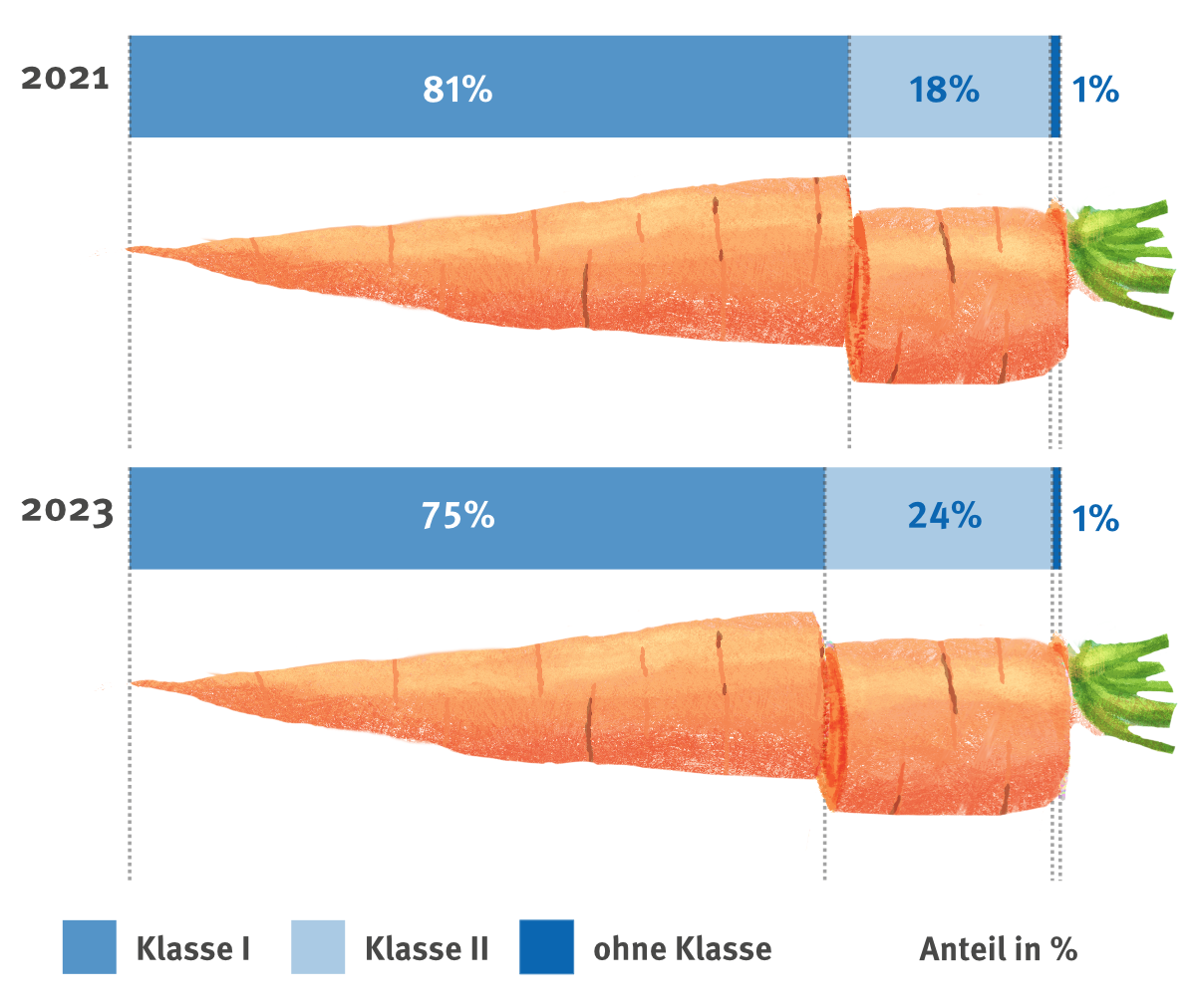 Vergleich Möhren Verteilung nach Klassen 2021 und 2023 