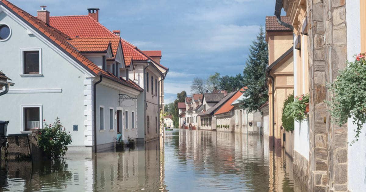 Schimmel im Haus? Das sollten Sie auf keinen Fall tun - ENERGIE