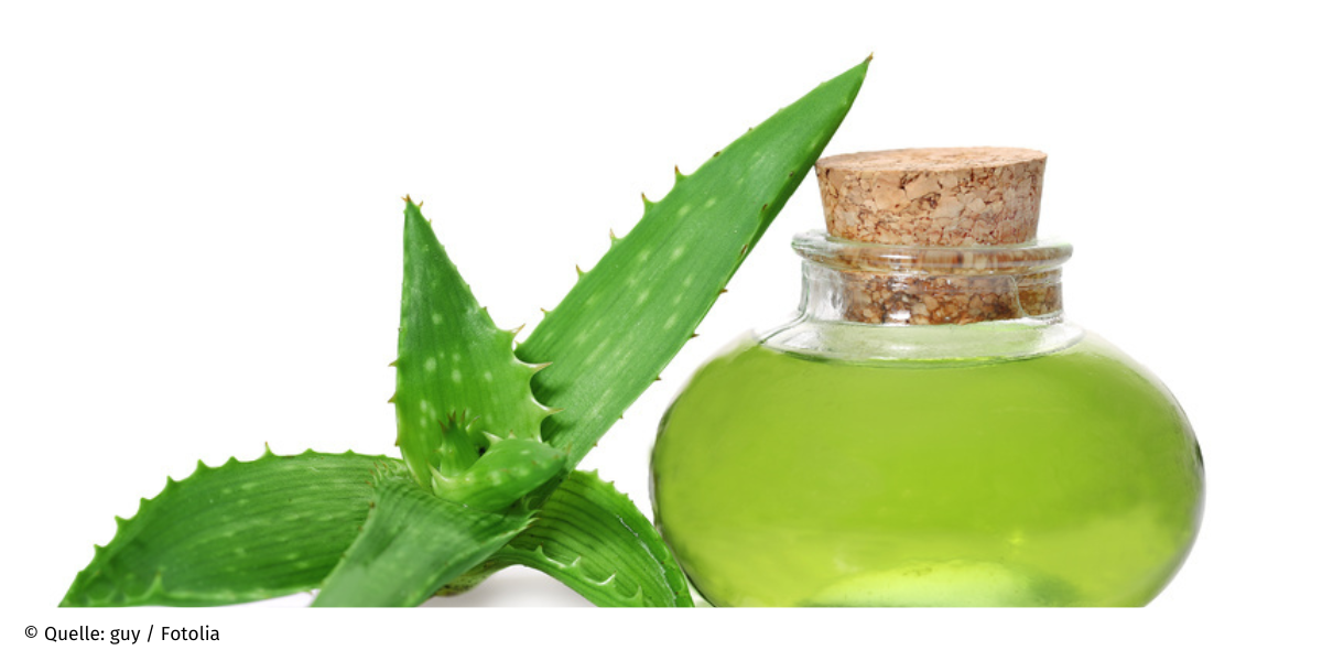 Aloe vera - die Pflanze fr Schnheit und Gesundheit? |  Verbraucherzentrale.de