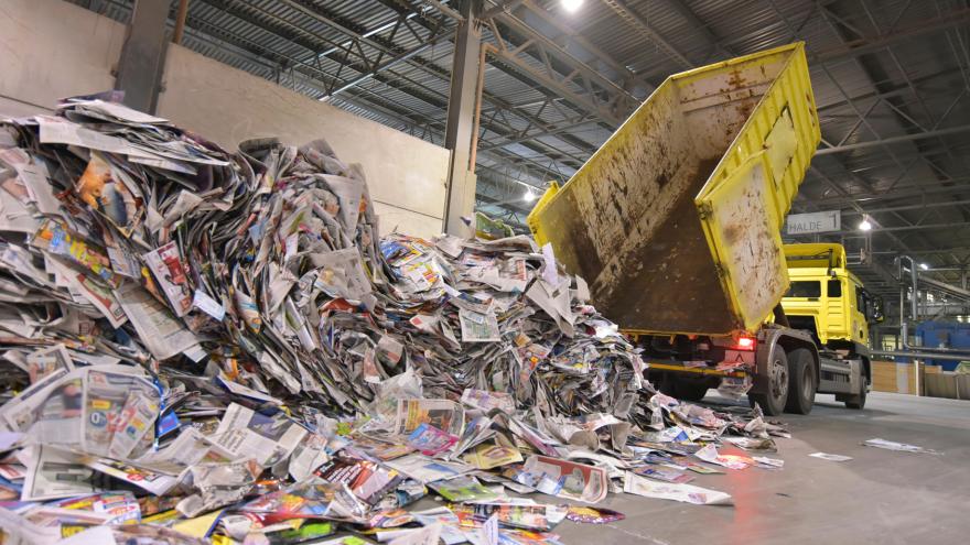 Zum Schutz der Wälder: Papier sparen, Recyclingpapier nutzen