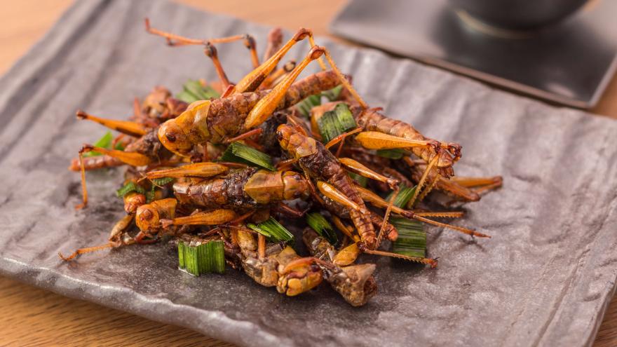 Esssen und Trinken in Deutschland Insekten%20essen%20geroestete%20Grillen%20auf%20Teller%20stockphototrends%20AdobeStock%20126371886