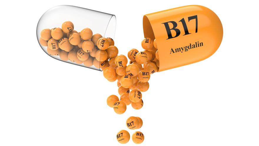 Grafik einer geöffneten Pille mit Aufschrift B17