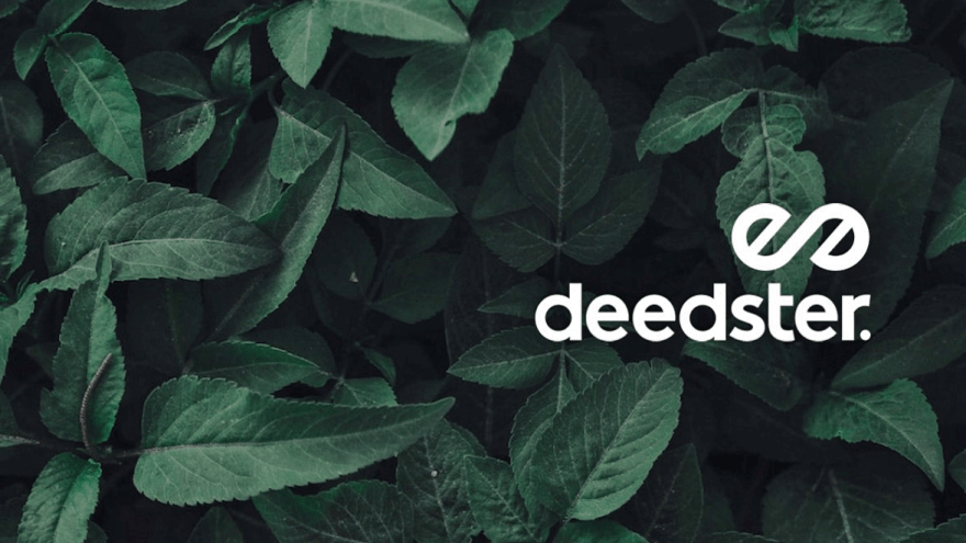 Grüne Blätter mit dem Logo der App "Deedster" 
