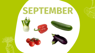 Schrift "September" und Fotos einiger Gemüsesorten