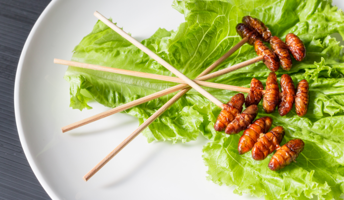 Auf einem Salatblatt liegen vier Spieße mit frittierten Mehlwürmern.